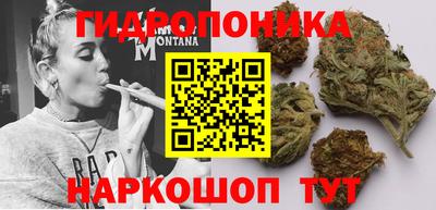 гидропоника Рыбинск