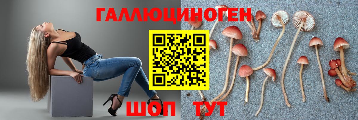 Галлюциногенные грибы MAGIC MUSHROOMS Советский