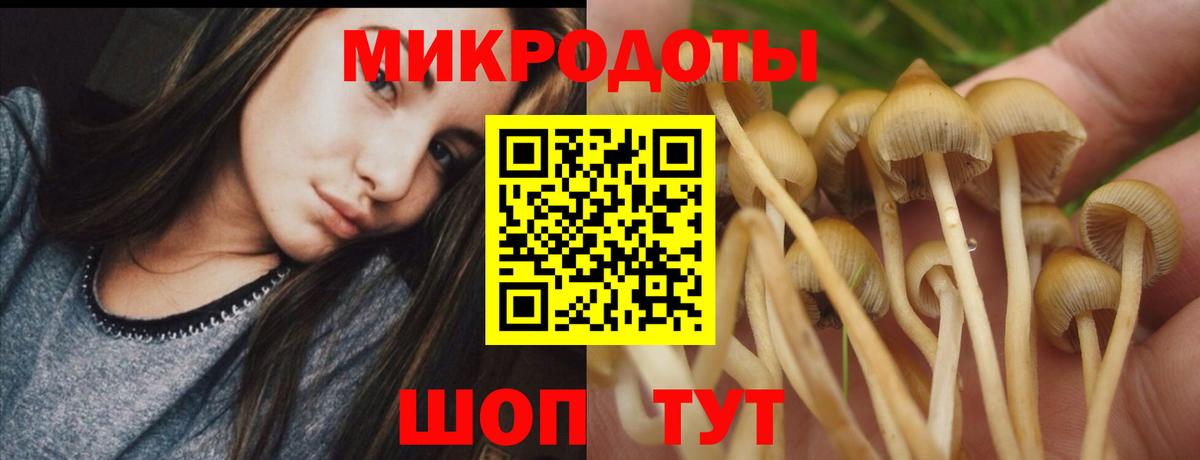 Советский  Галлюциногенные грибы Psilocybine cubensis  Вход с VPN 